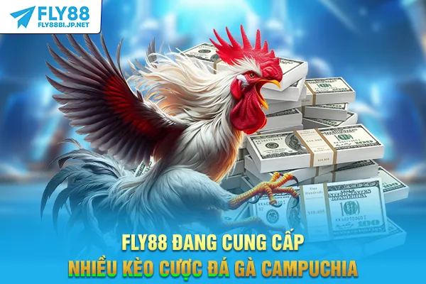 FLY88 đang cung cấp nhiều kèo cược đá gà Campuchia